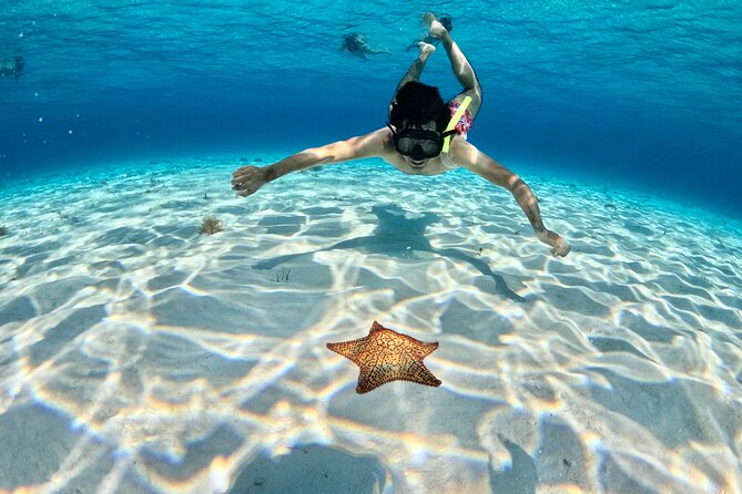 4 Hour Cozumel Turtle Sanctuary Experience on a Luxury Catamarán - El Cielo and Cielito, the prettiest part of the day