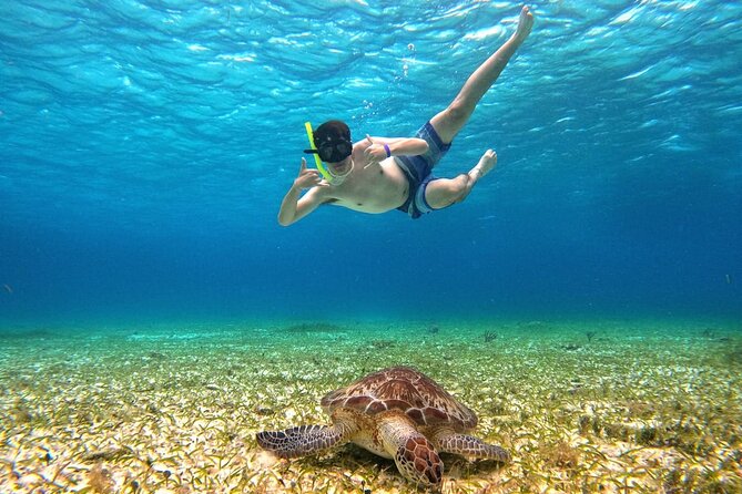 4 Hour Cozumel Turtle Sanctuary Experience on a Luxury Catamarán - The return ride and sunset question