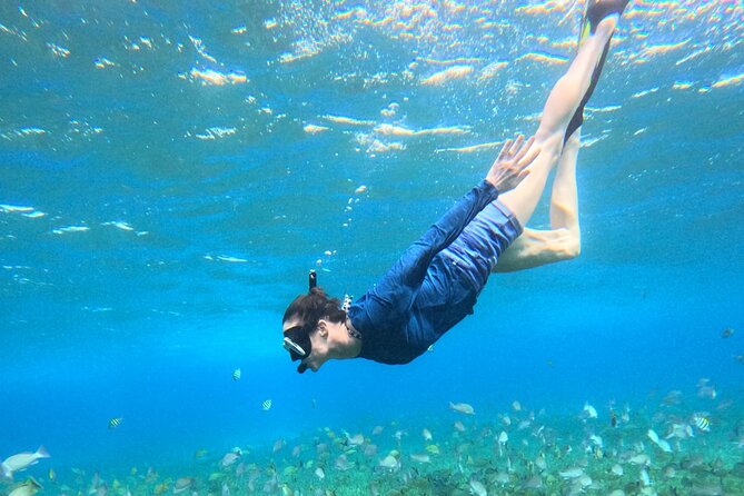 4 Hour Cozumel Turtle Sanctuary Experience on a Luxury Catamarán - Who will enjoy it most