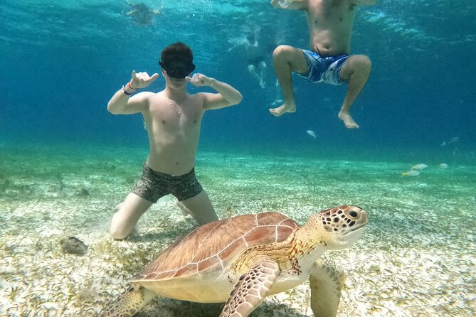 4 Hour Cozumel Turtle Sanctuary Experience on a Luxury Catamarán - Is $77.50 good value?