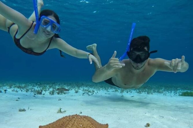 4 hours of shared snorkeling to El Cielo - Four hours from reef life to El Cielo