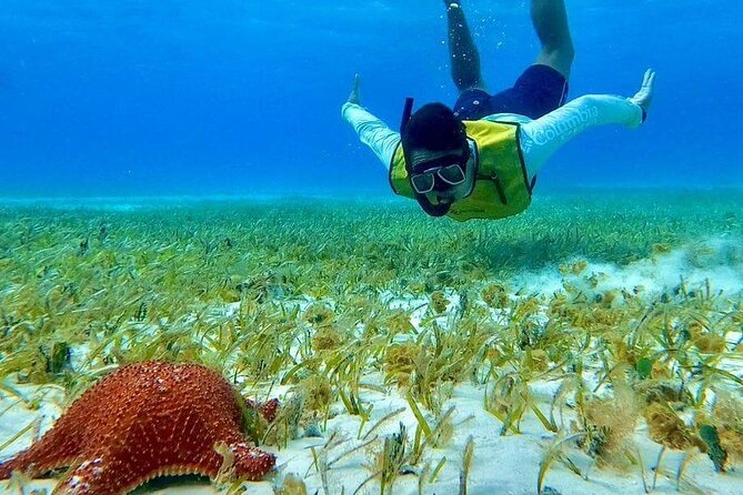 4 hours of shared snorkeling to El Cielo - Guides, safety, and the small-boat advantage