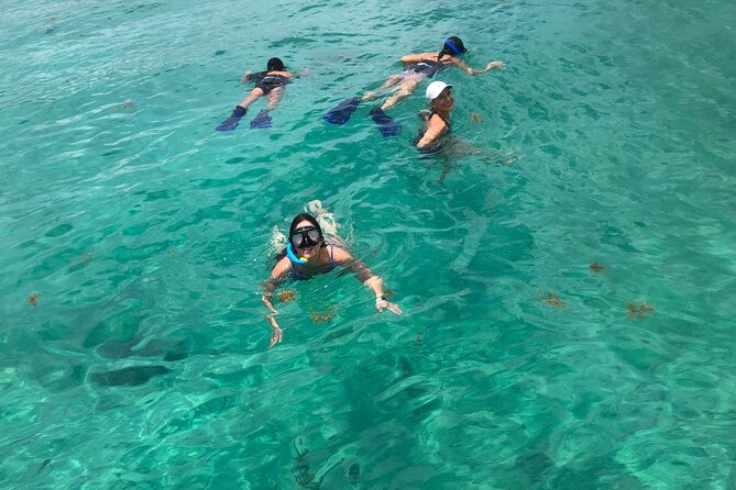 4 hours - Private 48ft Yacht all inclusive in Tulum and Playa del Carmen - The crew and the personal feel
