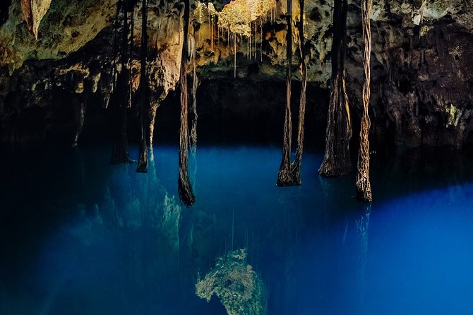4-in-1 Cenote Tour Guided Experience with Breakfast, Lunch & Wine - Há Water Xenote: snorkeling and kayaking