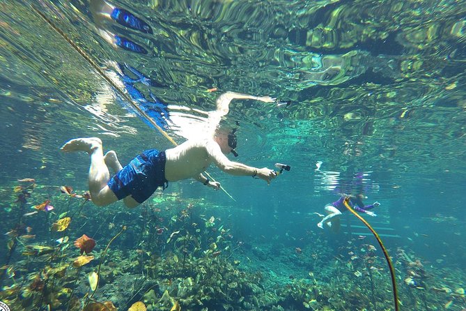 4 Private Cenotes, Zip-Lines, Canoes & Mayan Village with Delicious Lunch - Who will enjoy this tour most?