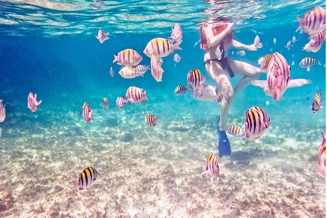 4H Luxury 44' Catamaran All-Inclusive in Tulum & Playa del Carmen - Two Hours at In-Ha Reef