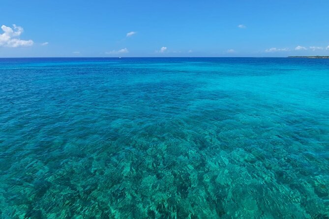 4H Luxury 44' Catamaran All-Inclusive in Tulum & Playa del Carmen - Fernando and the Crew