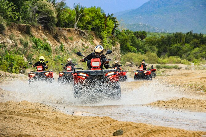 4x4 ATV Adventure with Tequila Tasting and Mexican Buffet Lunch - Key points to know before you book