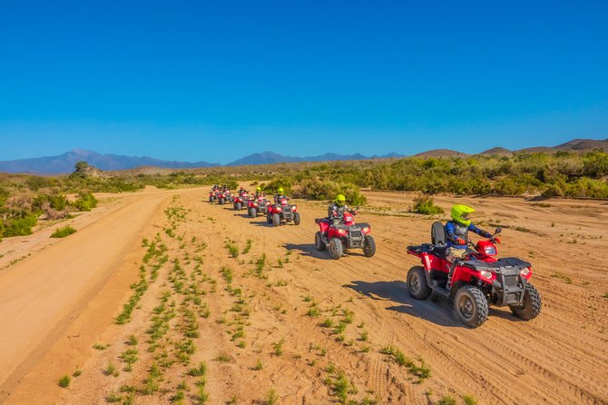 4x4 ATV Adventure with Tequila Tasting and Mexican Buffet Lunch - An oceanfront Mexican buffet after the ride