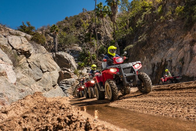 4x4 ATV Adventure with Tequila Tasting and Mexican Buffet Lunch - Tequila and mezcal, with modest expectations