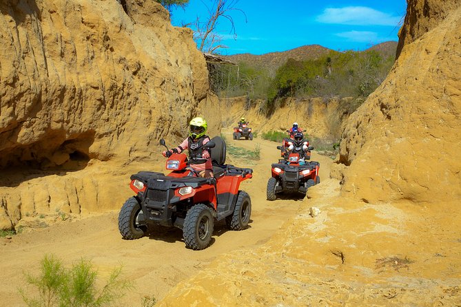4x4 ATV Adventure with Tequila Tasting and Mexican Buffet Lunch - What the $75 price really covers