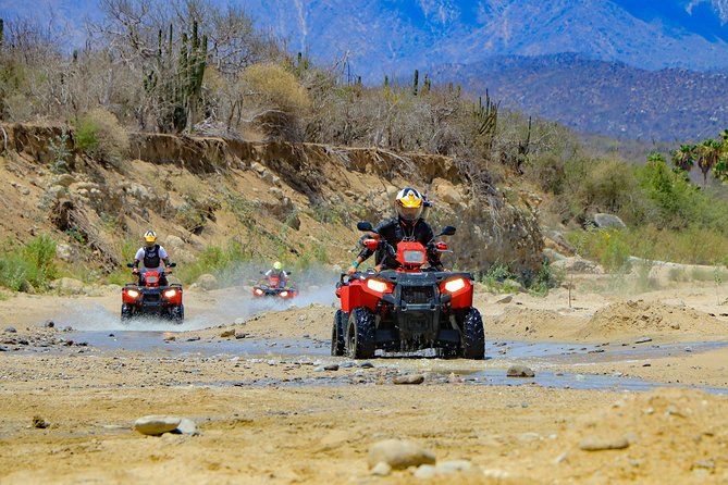 4x4 ATV Adventure with Tequila Tasting and Mexican Buffet Lunch - Who will enjoy this ride most