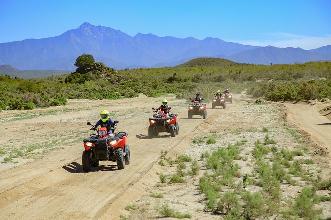 4x4 ATV Adventure with Tequila Tasting and Mexican Buffet Lunch - Timing, weather, and cancellation details
