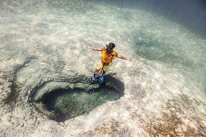 5-in-1 Cancun Snorkeling Tour with Sea Life & Transport Included - Key points at a glance