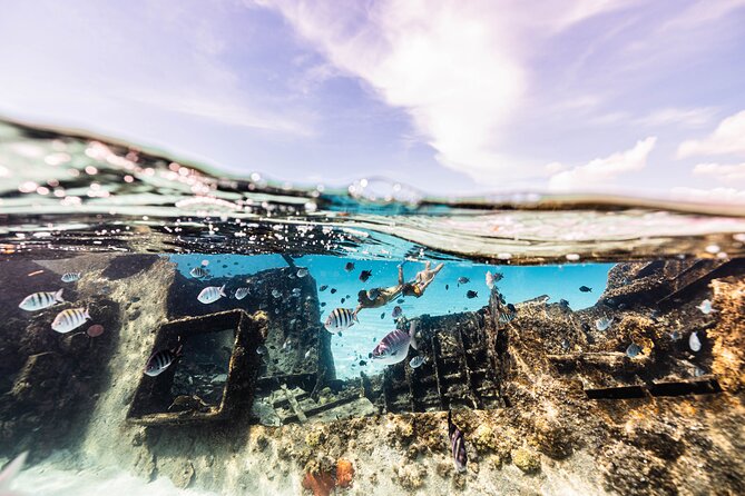 5-in-1 Cancun Snorkeling Tour with Sea Life & Transport Included - Stop three: turtles and possible rays