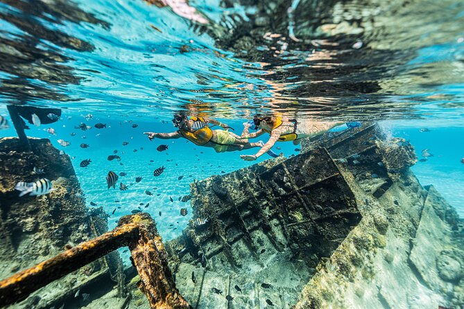5-in-1 Cancun Snorkeling Tour with Sea Life & Transport Included - Stop four: a shipwreck in clear water