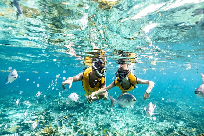 5-in-1 Cancun Snorkeling Tour with Sea Life & Transport Included - Stop five: an underwater cenote