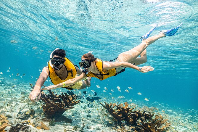 5-in-1 Cancun Snorkeling Tour with Sea Life & Transport Included - What the small group changes