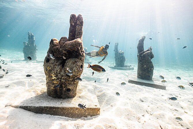 5-in-1 Cancun Snorkeling Tour with Sea Life & Transport Included - Price, dock fee, and what you receive
