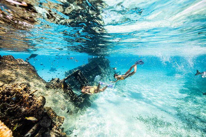 5-in-1 Cancun Snorkeling: Turtles, Reef, Musa, Shipwreck, Cenote - Swimming near turtles and possible rays