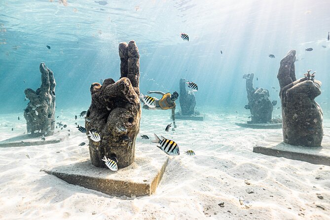 5-in-1 Cancun Snorkeling: Turtles, Reef, Musa, Shipwreck, Cenote - Finishing in a Yucatan cenote