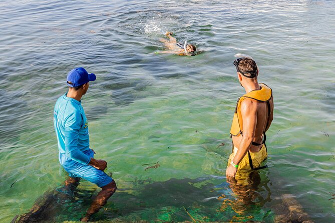 5-in-1 Cancun Snorkeling: Turtles, Reef, Musa, Shipwreck, Cenote - What the $79 price really covers