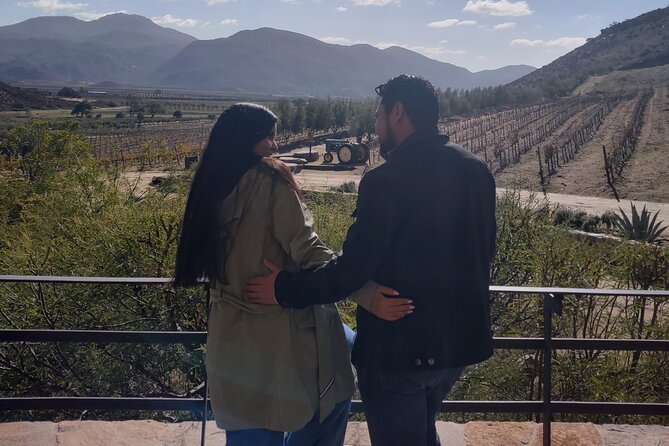 $99 Valle de Guadalupe Wine Tours - DayTrip to baja from San Diego - Bruma Valle de Guadalupe explains how the wine is made