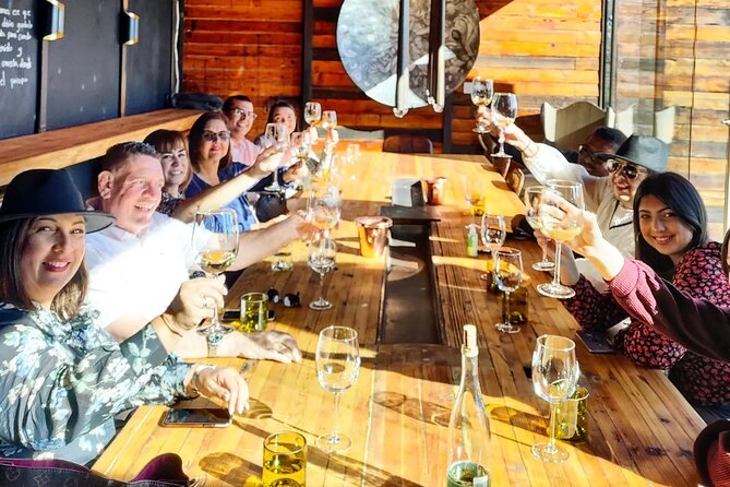$99 Valle de Guadalupe Wine Tours - DayTrip to baja from San Diego - What your guide adds to the experience