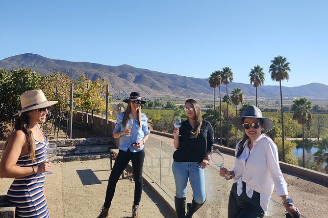 $99 Valle de Guadalupe Wine Tours - DayTrip to baja from San Diego - Crossing from San Diego or meeting at the Tijuana border