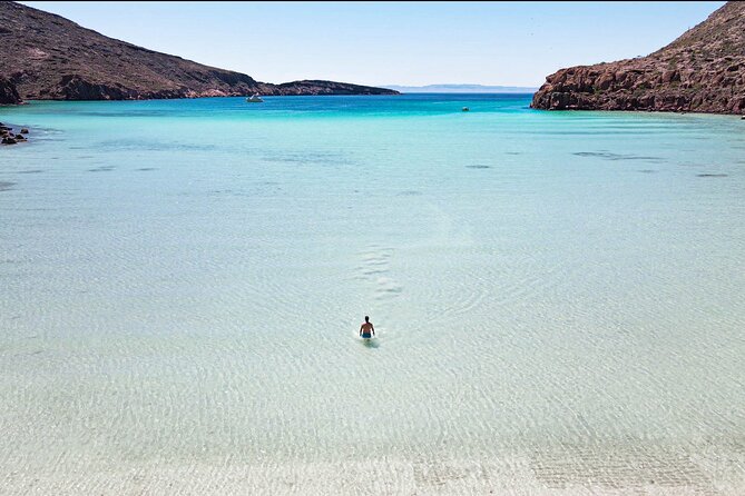 Adventure to Espiritu Santo Island: Snorkel with Sea Lions and Beach - Key points for your Espiritu Santo day