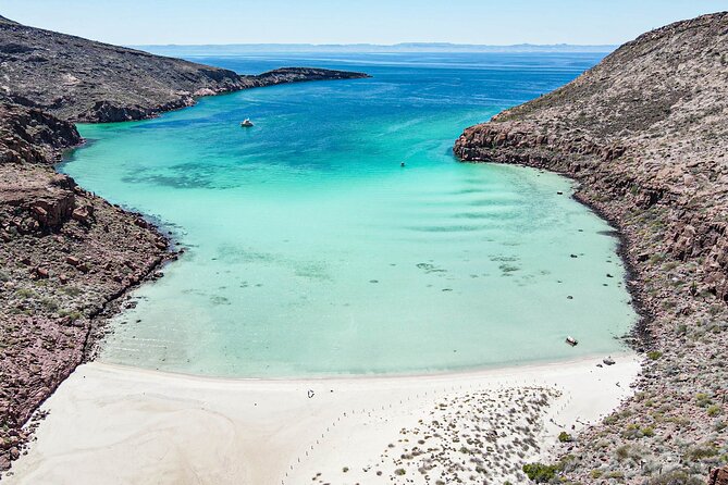 Adventure to Espiritu Santo Island: Snorkel with Sea Lions and Beach - A beach lunch with ceviche, shade, and time to slow down