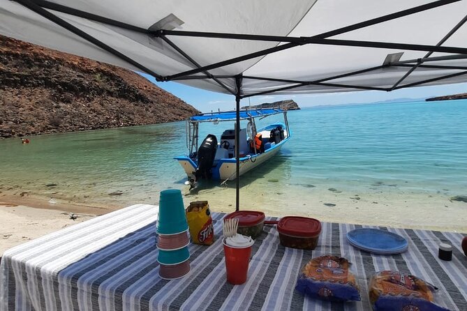 Adventure to Espiritu Santo Island: Snorkel with Sea Lions and Beach - The guide makes the difference