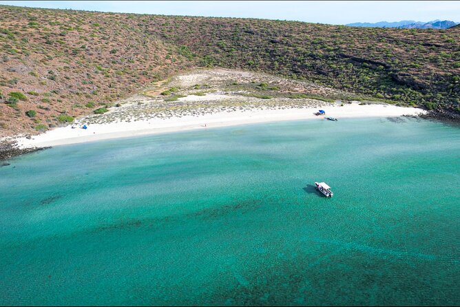 Adventure to Espiritu Santo Island: Snorkel with Sea Lions and Beach - Dolphins, whales, rays, and lucky surprises