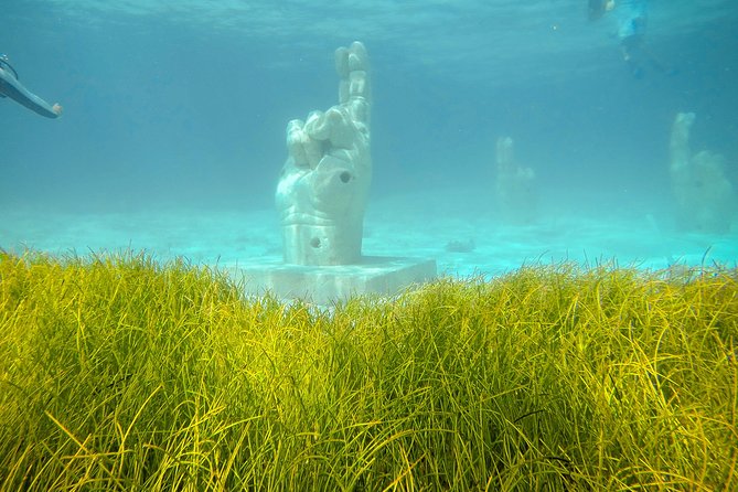 Afternoon Half-Day Catmaran Sailing and Snorkel Adventure - Is $49.99 a good deal?