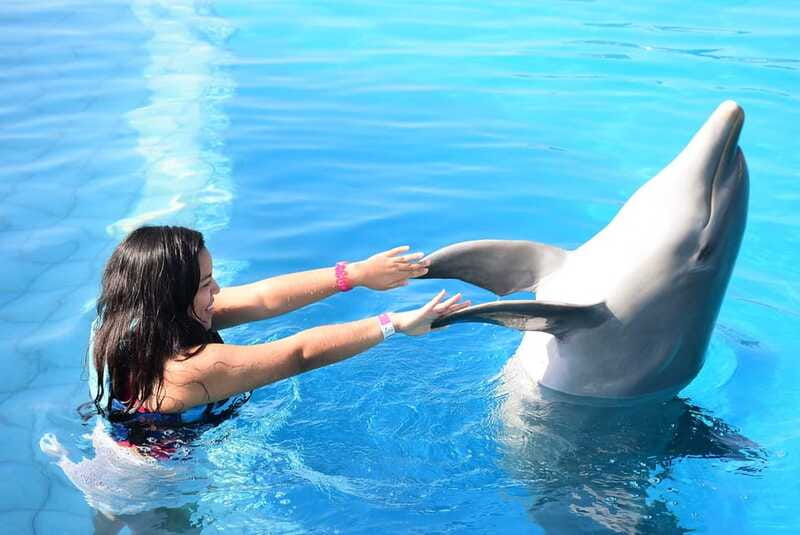 Akumal: Dolphin Encounter - Akumal gives you more than the habitat
