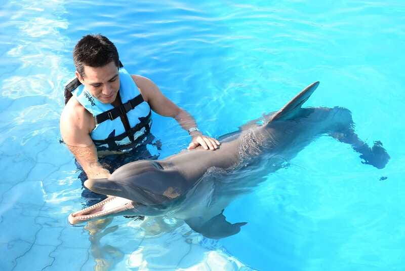 Akumal: Dolphin Encounter - Who will enjoy this most