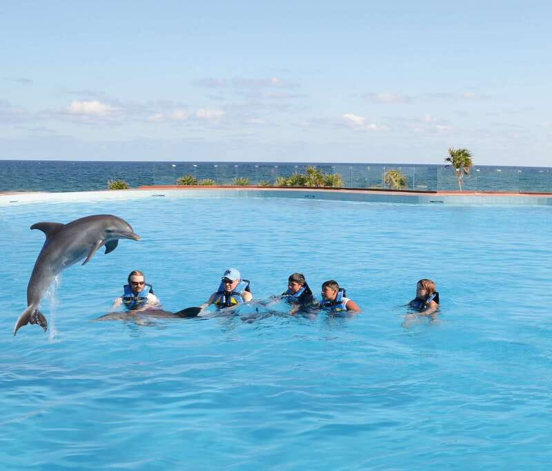 Akumal: Dolphin Encounter - The 15-minute introduction sets the tone