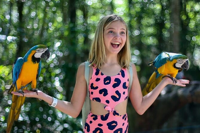 Akumal Monkey Sanctuary - What the two-hour visit is really like