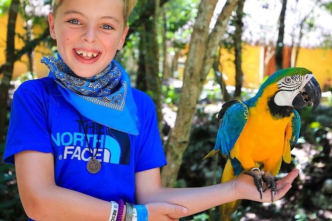 Akumal Monkey Sanctuary - Is $95 a fair price?