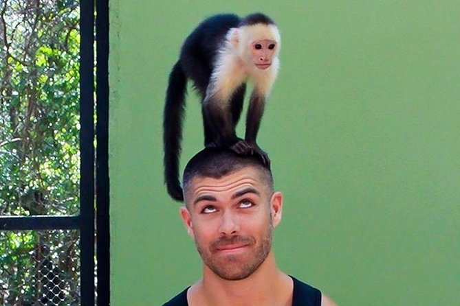 Akumal Monkey Sanctuary - Choosing the right departure and group