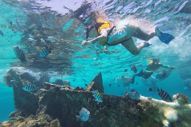 All-Inclusive Isla Mujeres Catamaran with Free Transportation - Blanquizal sandbar: the day’s best swim