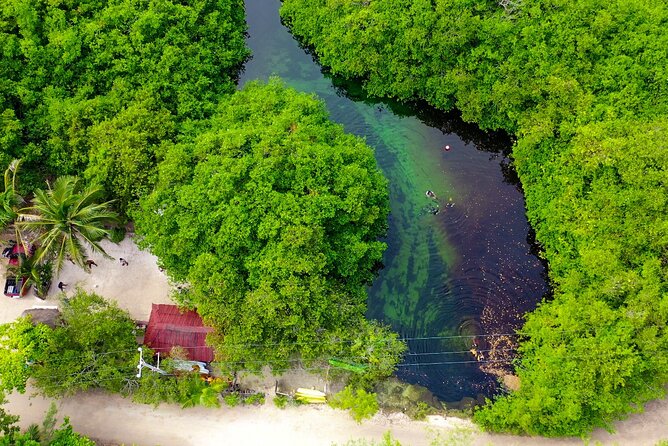 Amazing beginner dive in Tulum cenote (or refresher dive) - What the instructors do well