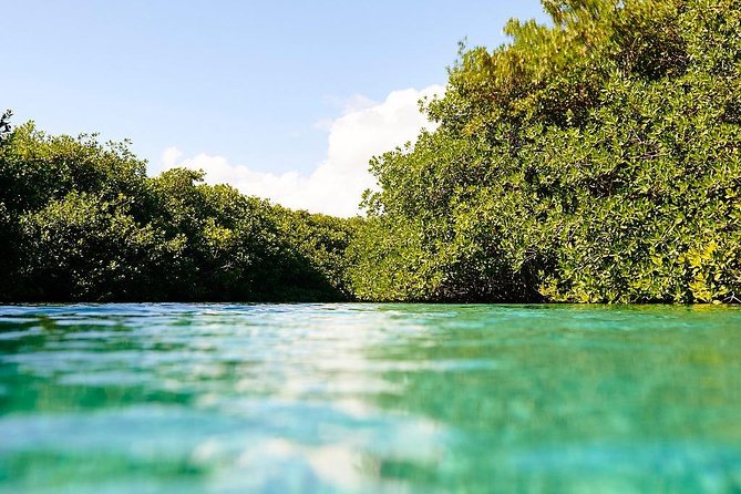 Amazing beginner dive in Tulum cenote (or refresher dive) - Timing, health rules, and the small print