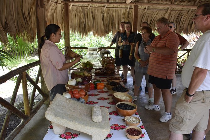 Ancient Chacchoben Mayan Ruins & Mayan Experience from Costa Maya - Walking through Chacchoben’s jungle monuments