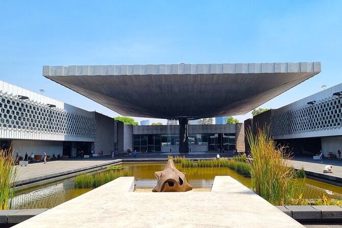 Anthropology Museum Early Access Tour - Why the Anthropology Museum deserves your first morning