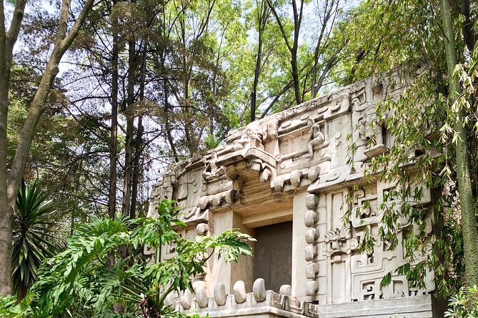 Anthropology Museum Early Access Tour - How to get more from the final hour