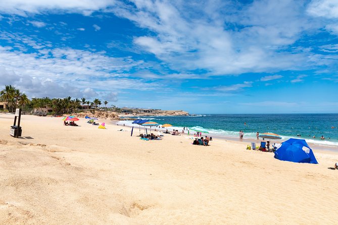 Arch Views & Snorkeling Paradise at Chileno Beach Private tour - Why this half-day route works in Cabo