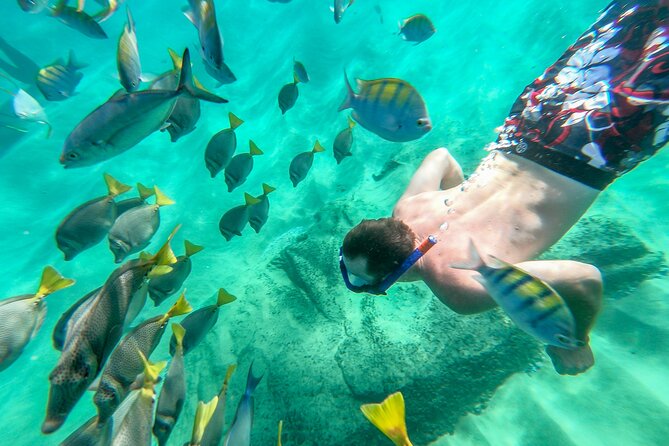 Arch Views & Snorkeling Paradise at Chileno Beach Private tour - Two hours at Chileno Beach