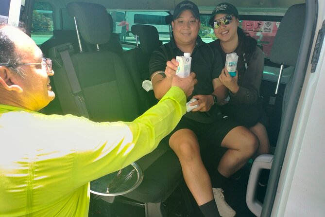 Arrival from Tulum Airport Private Transportation in Minivan - What the 45-minute ride is like