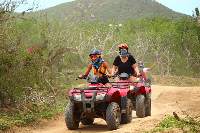 ATV, Beach and Desert Adventure with Tequila Tasting - A Baja ride built around dust, distance, and ocean air